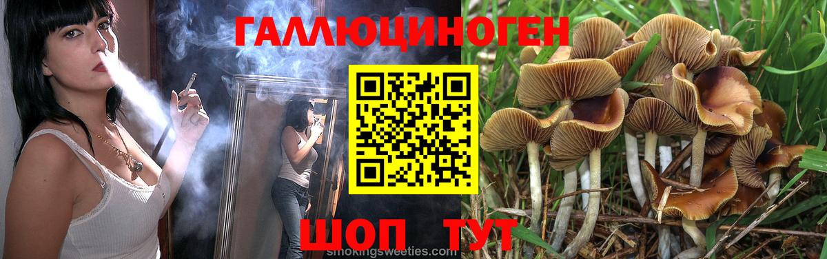 Псилоцибиновые грибы Magic Shrooms  Вход с VPN  Рязань  даркнет сайт  Галлюциногенные грибы Cubensis 